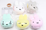 Miffy Silicone FACE Accessory Case [All 5 type set(Full Complete)]