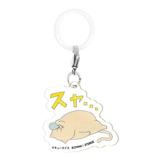 Qrais Flat Mejirushi Accessory [1.Nekonohi-]