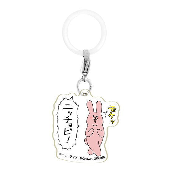 Qrais Flat Mejirushi Accessory [2.Sukiusagi]