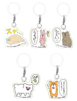 Qrais Flat Mejirushi Accessory [All 5 type set(Full Complete)]