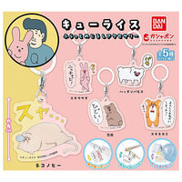 Qrais Flat Mejirushi Accessory [All 5 type set(Full Complete)]