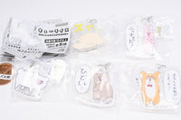 Qrais Flat Mejirushi Accessory [All 5 type set(Full Complete)]