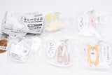 Qrais Flat Mejirushi Accessory [All 5 type set(Full Complete)]