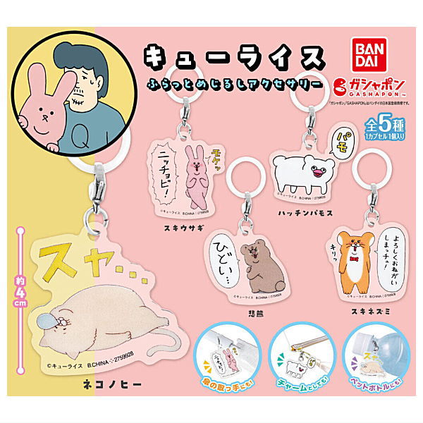 Qrais Flat Mejirushi Accessory [All 5 type set(Full Complete)]