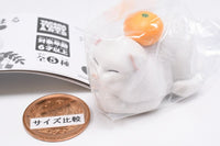 Mochinimal Part.2 [2.Nekomochi (Scottish Fold)]