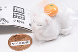 Mochinimal Part.2 [2.Nekomochi (Scottish Fold)]