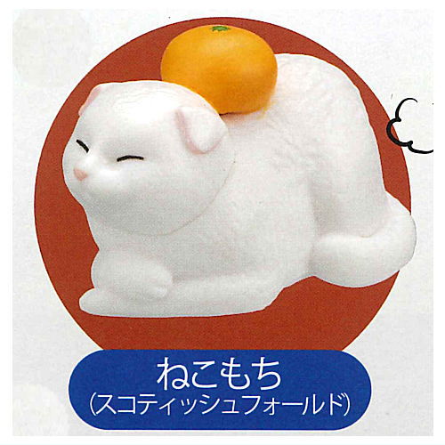 Mochinimal Part.2 [2.Nekomochi (Scottish Fold)]
