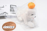 Mochinimal Part.2 [3.Inumochi (Bichon Frise)]