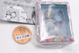 Blythe Miniature Package Collection [1.16th Anniversary Garden of Joy]