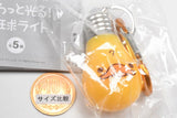 San-X All Stars Howatto hikaru! bulb light [2.Kamonohashikamo]