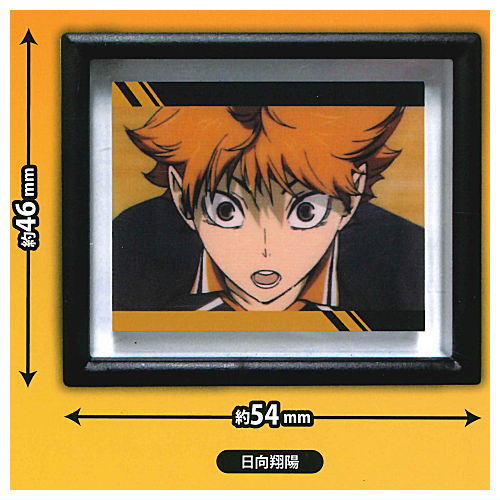 Haikyu!! Scene Magnet Frame Collection [1.Shoyo Hinata]
