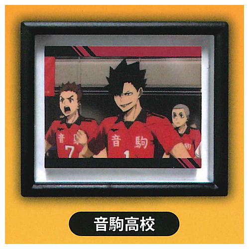 Haikyu!! Scene Magnet Frame Collection [5.Nekoma High School]