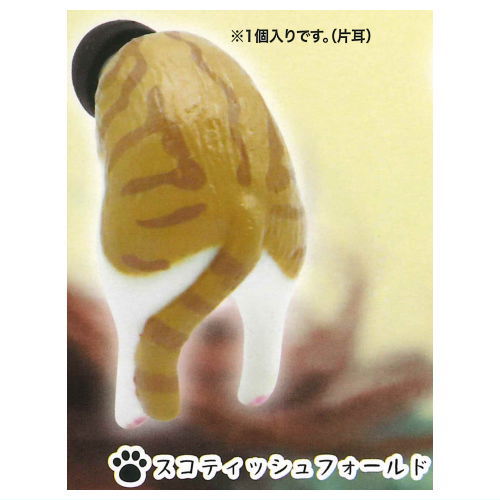 Earplugs Cat Part.2 [4.Scottish Fold]