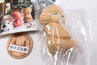 ZAZEN Part.2 [2.Toy Poodle]