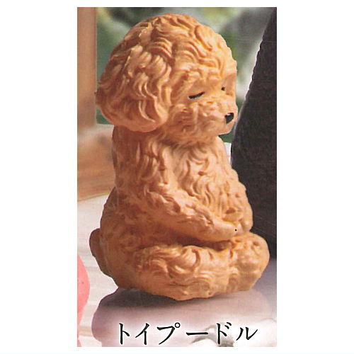 ZAZEN Part.2 [2.Toy Poodle]