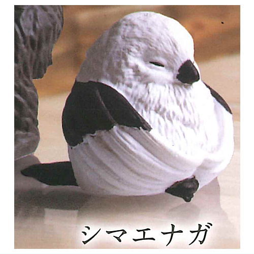 ZAZEN Part.2 [4.Shimaenga]