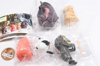 ZAZEN Part.2 [All 5 type set(Full Complete)]