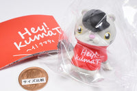 Hey�IkumaT [3.Cat T]