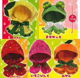 Okigae poncho Fruit [All 5 type set(Full Complete)]