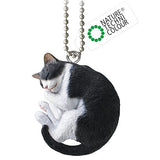 Nature Techni colour MONO PLUS Cat Ball Chain Mascot [2.Hachiware]