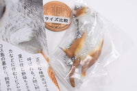 Nature Techni colour MONO PLUS Cat Ball Chain Mascot [3.Chatora]