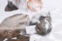 Nature Techni colour MONO PLUS Cat Ball Chain Mascot [6.Kijitora kitten)& Hachiware kitten]