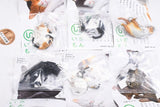 Nature Techni colour MONO PLUS Cat Ball Chain Mascot [All 6 type set(Full Complete)]