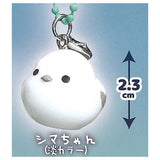 Fuku Fuku Shimaenaga Chimitto Keychain [4.Shima-chan (light color)]
