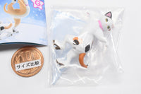 Cats on the Ice [3.Back Cross]