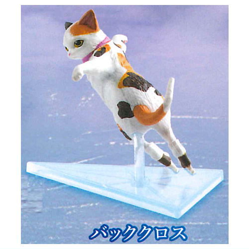 Cats on the Ice [3.Back Cross]