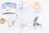 Cats on the Ice [All 5 type set(Full Complete)]