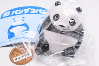 Panda Kopanda Mascot Light [1.Papanda (mouth closed)]