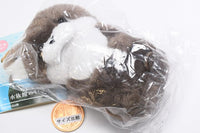 Kawaii Kawaii Plush Aquarium Creatures [2.Otter]