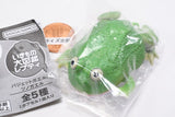 Ikimono Encyclopedia Repti Budget Frog and Horned Frog [1.Budget frog (green)]