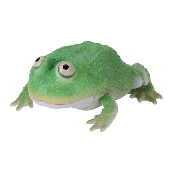 Ikimono Encyclopedia Repti Budget Frog and Horned Frog [1.Budget frog (green)]