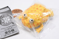 Ikimono Encyclopedia Repti Budget Frog and Horned Frog [3.Budget frog (yellow)]