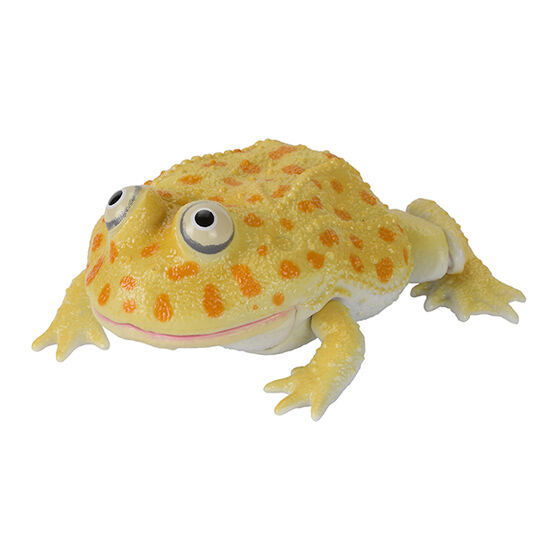 Ikimono Encyclopedia Repti Budget Frog and Horned Frog [3.Budget frog (yellow)]