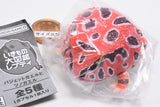 Ikimono Encyclopedia Repti Budget Frog and Horned Frog [4.Cranwell's horned frog (red)]