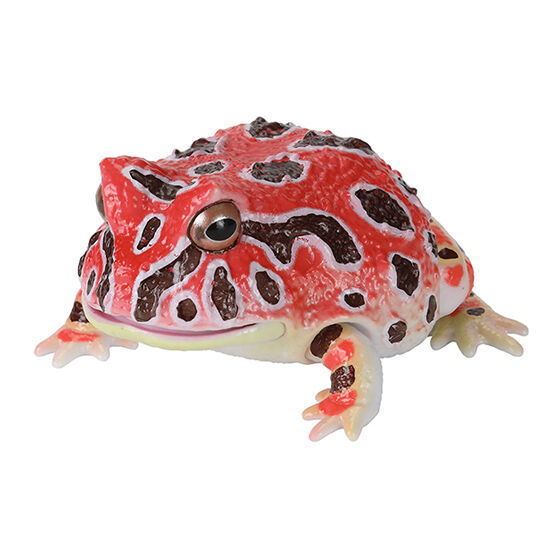 Ikimono Encyclopedia Repti Budget Frog and Horned Frog [4.Cranwell's horned frog (red)]