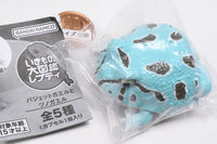Ikimono Encyclopedia Repti Budget Frog and Horned Frog [5.Cranwell's horned frog (peppermint)]