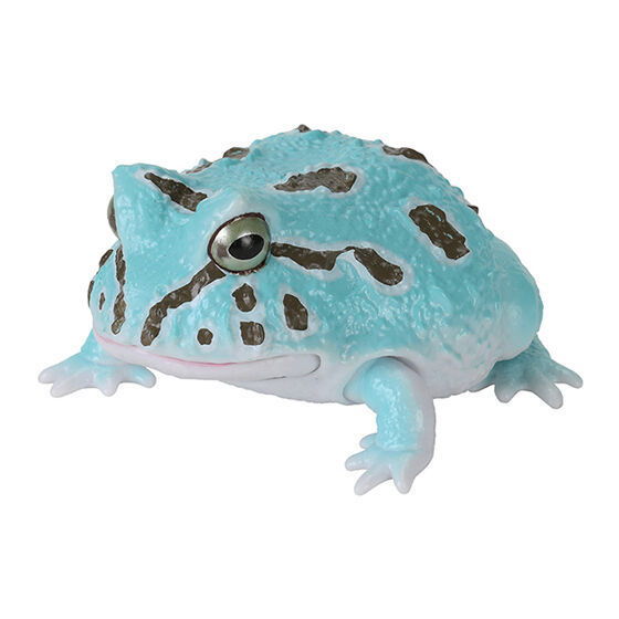 Ikimono Encyclopedia Repti Budget Frog and Horned Frog [5.Cranwell's horned frog (peppermint)]