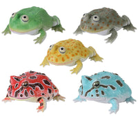 Ikimono Encyclopedia Repti Budget Frog and Horned Frog [All 5 type set(Full Complete)]