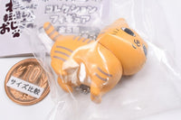 Nekonitenseishitaojisan Collection figure with ball chain [5.Toraneko]
