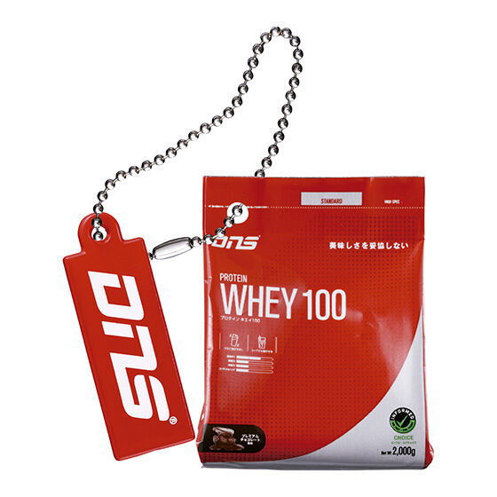 DNS Protein Miniature Charm [1.Protein Whey 100]