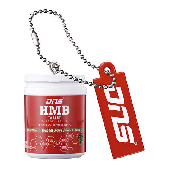 DNS Protein Miniature Charm [6.HMB]