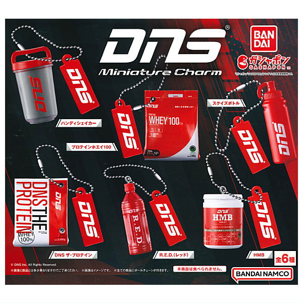 DNS Protein Miniature Charm [All 6 type set(Full Complete)]