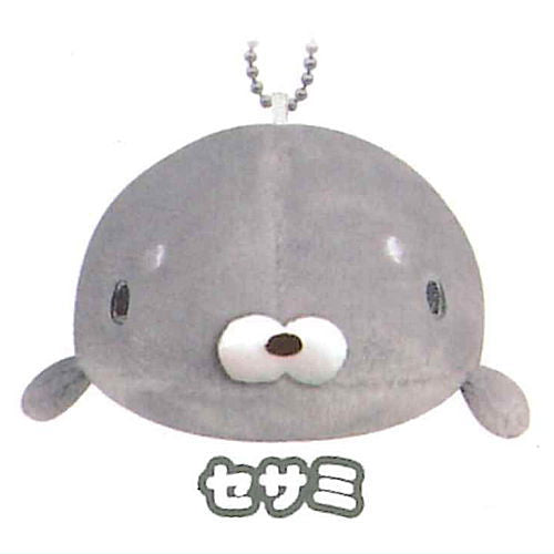 Seal Kyu-n stuffed toy [5.Sesame]
