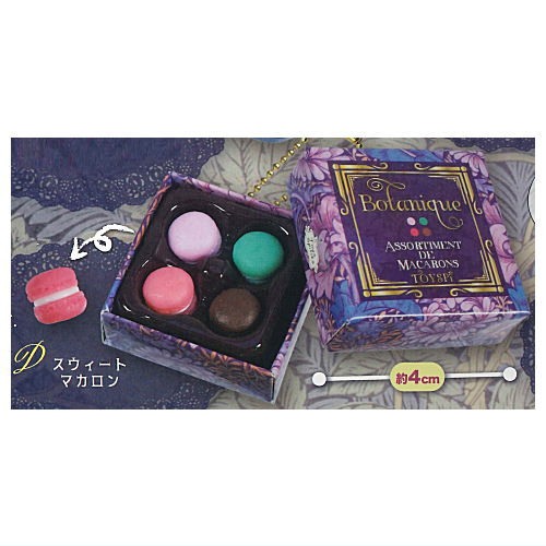 Case & Boxed! luxury chocolate mascot Botanical Ver. [4.Sweet Macaroon]