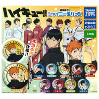 Haikyu!! Furimuki Shiny Can Badge [All 10 type set(Full Complete)]