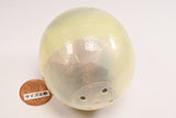 Science Technicolour T4 Phage Rainbow Pearl Mascot & Ball Chain [3.T4 phage (Clear pink)]